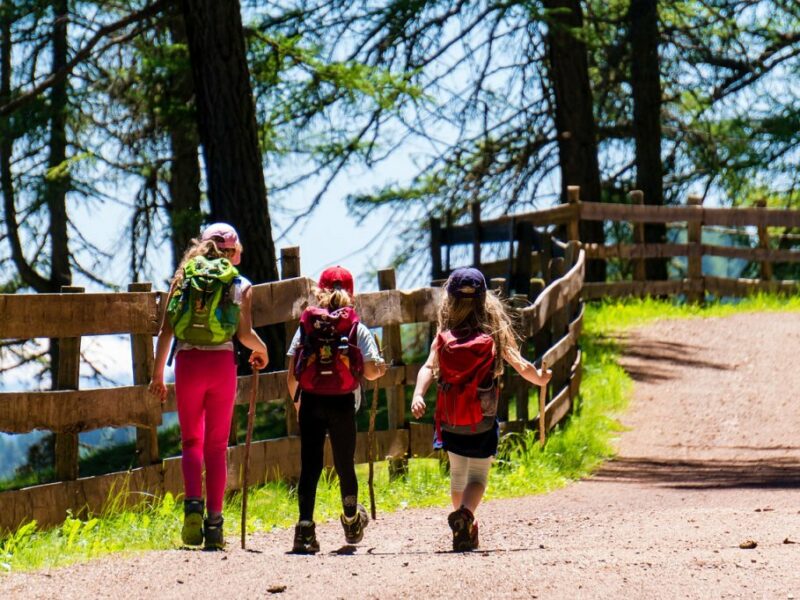 Consejos para disfrutar del bosque con niños