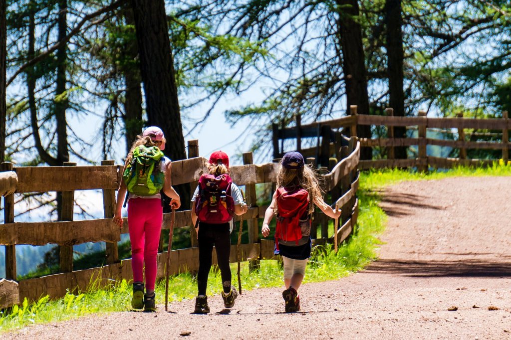 Consejos para disfrutar del bosque con niños