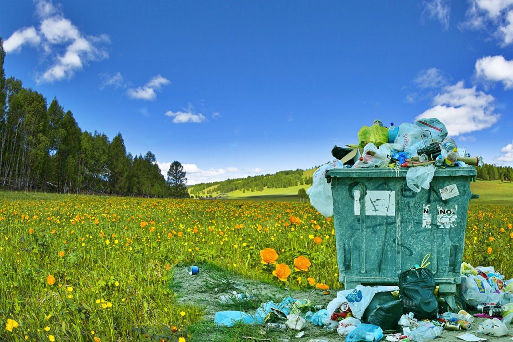 5 consejos para generar menos basura