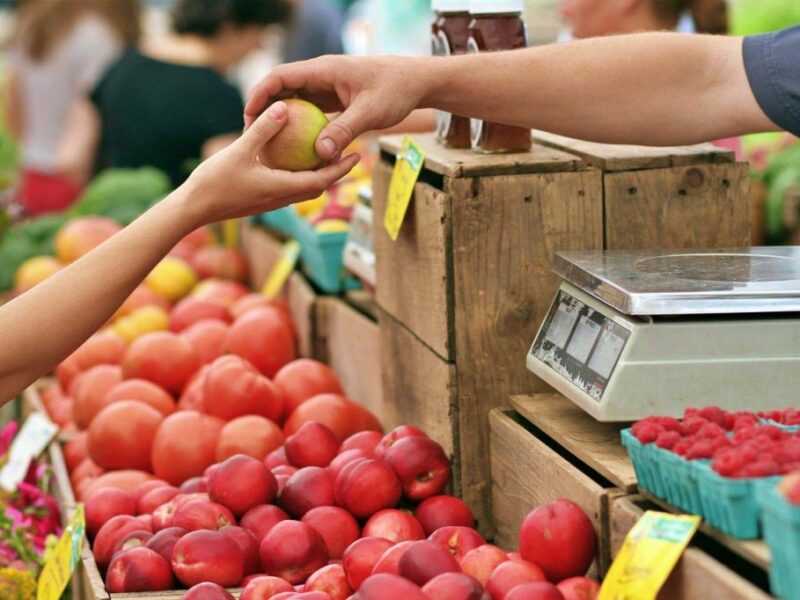 10 razones para consumir alimentos km 0 en el camino