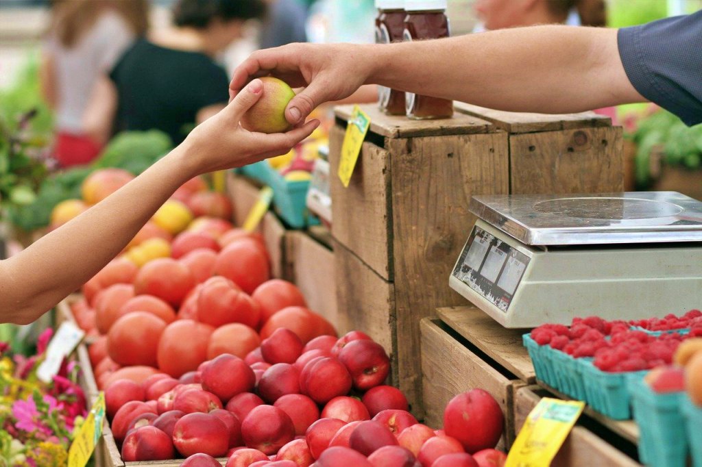 10 razones para consumir alimentos km 0 en el camino